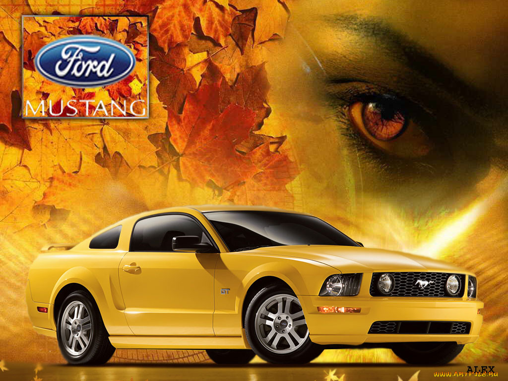 mustang, , ford